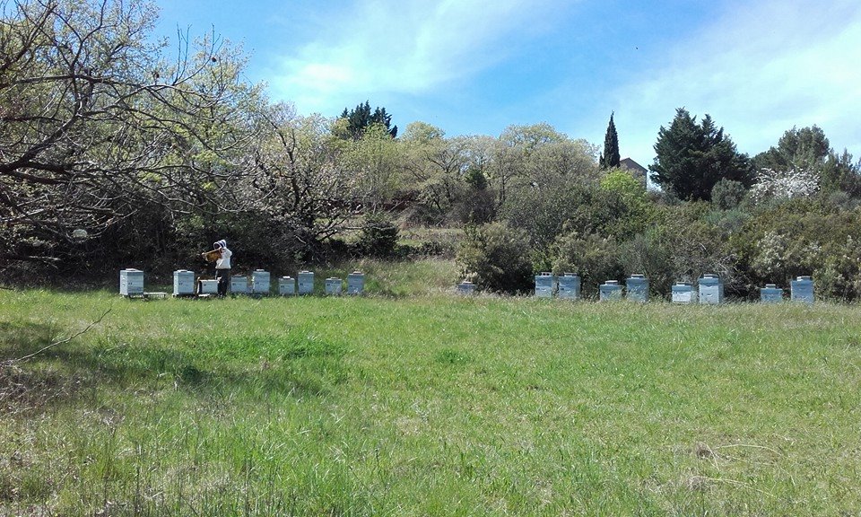 larauque